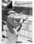 Carpenter Hammering by Anonymous