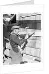 Carpenter Hammering by Anonymous