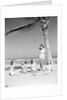 Group Of Women On Beach by Anonymous