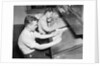 Men At Desks Proofreading Documents by Anonymous