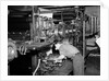 Attaching Plates to Printing Machine by Anonymous