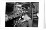 Attaching Plates to Printing Machine by Anonymous