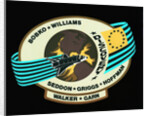 Nasa 51-D Mission Insignia by Anonymous