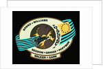 Nasa 51-D Mission Insignia by Anonymous