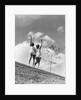 Twin Sisters Waving From Hilltop by Anonymous