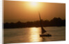 Felucca Sailing at Sunset by Anonymous