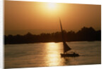 Felucca Sailing at Sunset by Anonymous