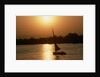 Felucca Sailing at Sunset by Anonymous