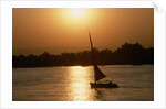 Felucca Sailing at Sunset by Anonymous
