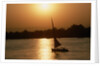 Felucca Sailing at Sunset by Anonymous