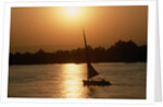 Felucca Sailing at Sunset by Anonymous