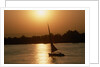Felucca Sailing at Sunset by Anonymous