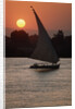 Sunset on the Nile with Boat by Anonymous