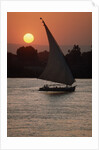 Sunset on the Nile with Boat by Anonymous