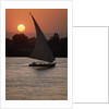 Sunset on the Nile with Boat by Anonymous