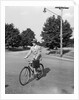 Business Man Riding Bicycle by Anonymous