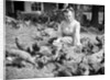 Woman Sits And Hand Feeds Chickens by Anonymous