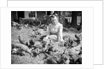 Woman Sits And Hand Feeds Chickens by Anonymous