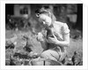 Woman Holds Chicken For Feeding by Anonymous