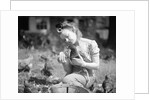 Woman Holds Chicken For Feeding by Anonymous