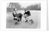 Man Putting on Woman's Ice Skates by Anonymous