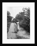 Woman Walking on Country Road by Anonymous