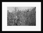Man and Son Looking at Pheasant by Anonymous