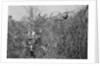 Man and Son Looking at Pheasant by Anonymous