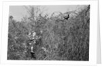 Man and Son Looking at Pheasant by Anonymous