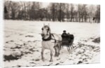 Riding in Horse Drawn Sleigh by Anonymous