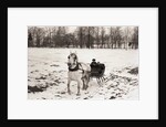Riding in Horse Drawn Sleigh by Anonymous