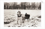 Riding in Horse Drawn Sleigh by Anonymous