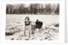 Riding in Horse Drawn Sleigh by Anonymous