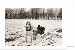 Riding in Horse Drawn Sleigh by Anonymous