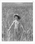 Girl Standing in Wheat Field by Anonymous
