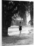 Woman Standing Under a Tree by Anonymous