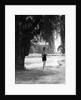 Woman Standing Under a Tree by Anonymous