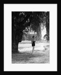 Woman Standing Under a Tree by Anonymous