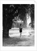 Woman Standing Under a Tree by Anonymous