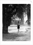 Woman Standing Under a Tree by Anonymous