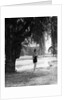 Woman Standing Under a Tree by Anonymous