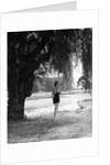 Woman Standing Under a Tree by Anonymous