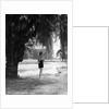 Woman Standing Under a Tree by Anonymous