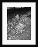 Little Girl Raking Leaves by Anonymous