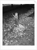 Little Girl Raking Leaves by Anonymous