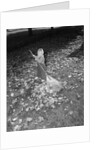 Little Girl Raking Leaves by Anonymous