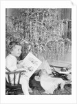 Girl Sitting Beside Christmas Tree by Anonymous