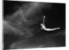 Woman Performing Swan Dive by Anonymous