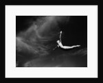 Woman Performing Swan Dive by Anonymous