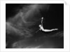 Woman Performing Swan Dive by Anonymous